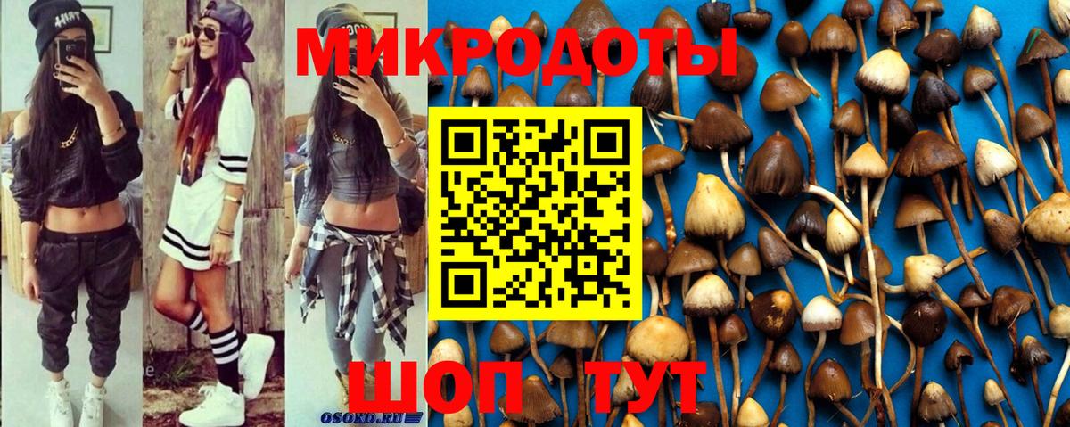 Галлюциногенные грибы Cubensis Ачхой-Мартан