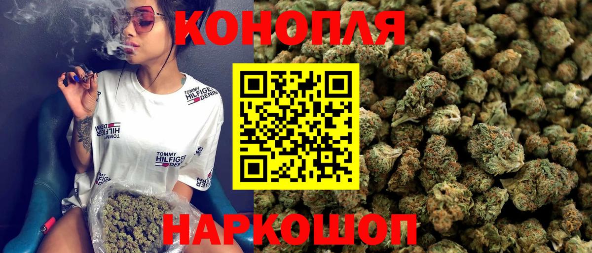 Каннабис White Widow  Марихуана сатива  Каннабис сатива  Вход с VPN  Ачхой-Мартан 